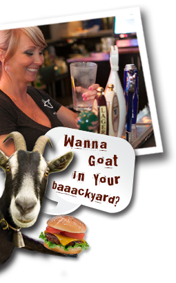 Want a goat in your backyard?